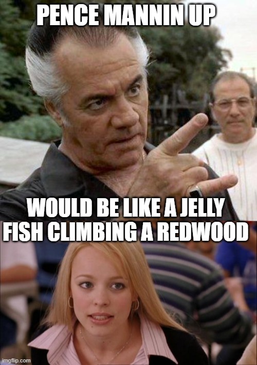 PENCE MANNIN UP WOULD BE LIKE A JELLY FISH CLIMBING A REDWOOD | image tagged in paulie gualtieri,memes,its not going to happen | made w/ Imgflip meme maker