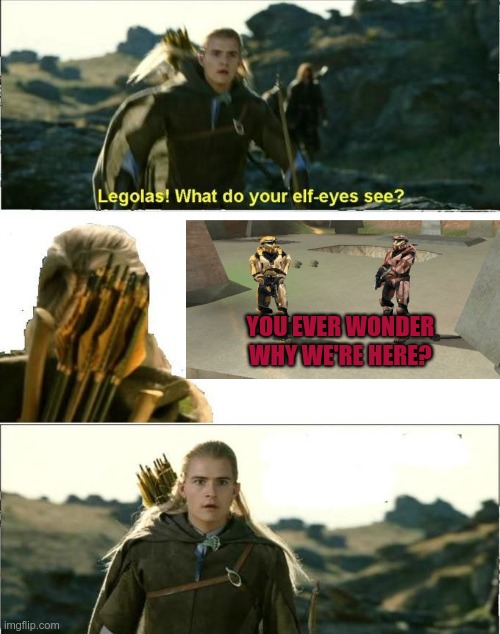 You ever wonder why we're here? | YOU EVER WONDER WHY WE'RE HERE? | image tagged in legolas elf eyes,red vs blue,rvb,grif,simmons,you ever wonder why were here | made w/ Imgflip meme maker
