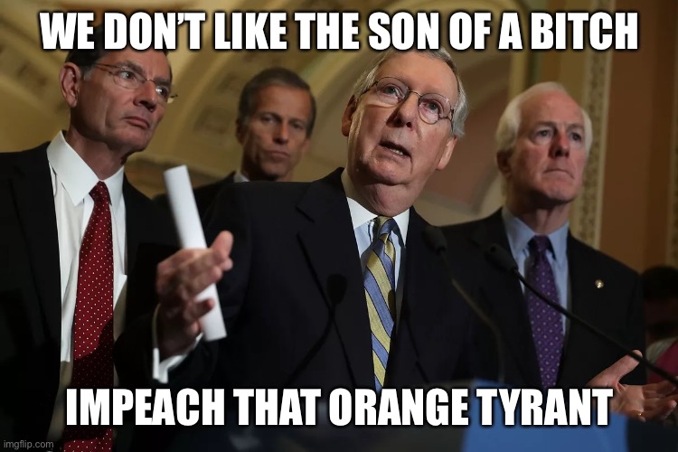 WE DON’T LIKE THE SON OF A BITCH IMPEACH THAT ORANGE TYRANT | made w/ Imgflip meme maker