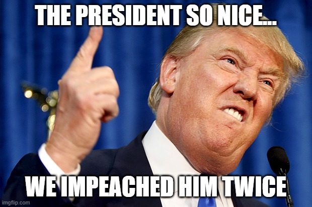 Donald Trump | THE PRESIDENT SO NICE... WE IMPEACHED HIM TWICE | image tagged in donald trump | made w/ Imgflip meme maker