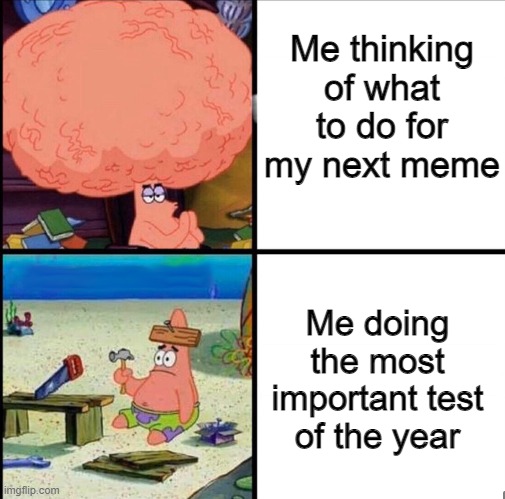 Brain in a nutshell | Me thinking of what to do for my next meme; Me doing the most important test of the year | image tagged in patrick big brain,so true memes | made w/ Imgflip meme maker