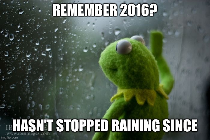 kermit window | REMEMBER 2016? HASN’T STOPPED RAINING SINCE | image tagged in kermit window | made w/ Imgflip meme maker