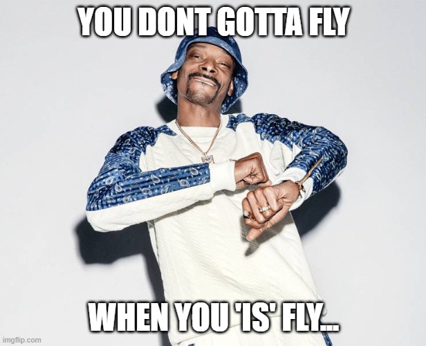 YOU DONT GOTTA FLY WHEN YOU 'IS' FLY... | made w/ Imgflip meme maker