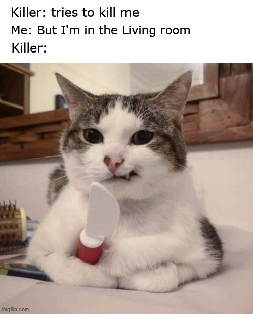 Living Room | Killer: tries to kill me; Me: But I'm in the Living room; Killer: | image tagged in living,cat,warning killer cat | made w/ Imgflip meme maker