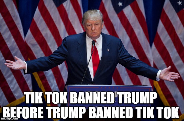 Donald Trump | TIK TOK BANNED TRUMP BEFORE TRUMP BANNED TIK TOK | image tagged in donald trump | made w/ Imgflip meme maker