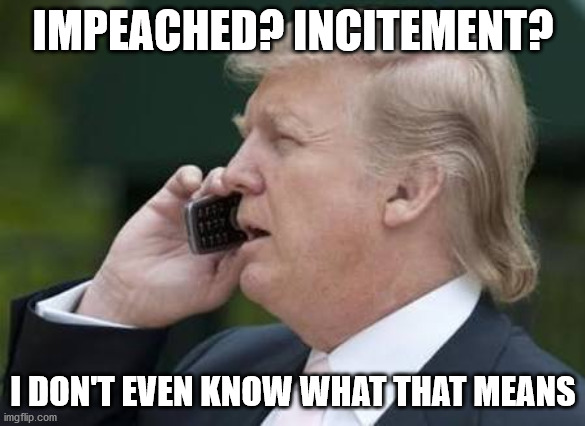 When you're that dumb | IMPEACHED? INCITEMENT? I DON'T EVEN KNOW WHAT THAT MEANS | image tagged in trump phone | made w/ Imgflip meme maker