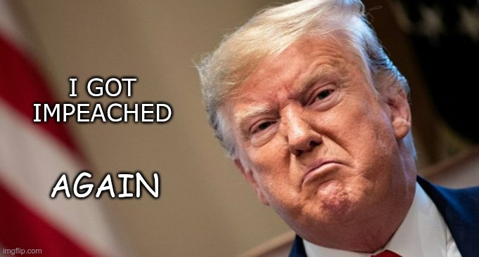 Again | I GOT IMPEACHED; AGAIN | image tagged in trump,impeached,gop,republican,insurrection | made w/ Imgflip meme maker