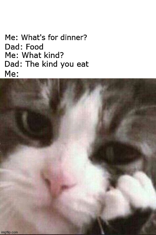oh yes food |  Me: What's for dinner? Dad: Food; Me: What kind? Dad: The kind you eat; Me: | image tagged in food,dad,dad joke,cat,sad cat,stop | made w/ Imgflip meme maker