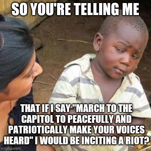 Need proof | SO YOU'RE TELLING ME; THAT IF I SAY "MARCH TO THE
CAPITOL TO PEACEFULLY AND PATRIOTICALLY MAKE YOUR VOICES HEARD" I WOULD BE INCITING A RIOT? | image tagged in need proof,liberal logic,hypocrisy,riots | made w/ Imgflip meme maker