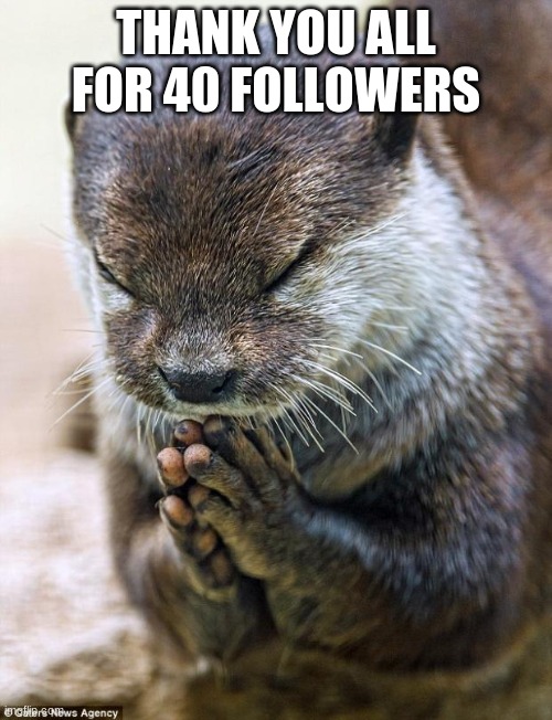 Don't take this as annoying, just want to thank you | THANK YOU ALL FOR 40 FOLLOWERS | image tagged in thank you lord otter | made w/ Imgflip meme maker