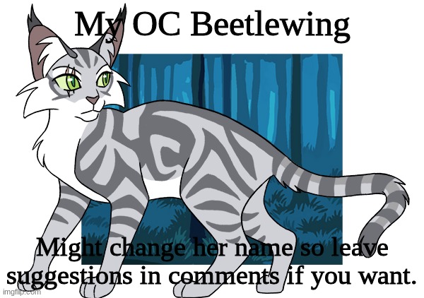 idk do what you want |  My OC Beetlewing; Might change her name so leave suggestions in comments if you want. | image tagged in warrior cats | made w/ Imgflip meme maker