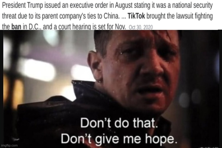 Death to TikTok | image tagged in hawkeye ''don't give me hope'' | made w/ Imgflip meme maker