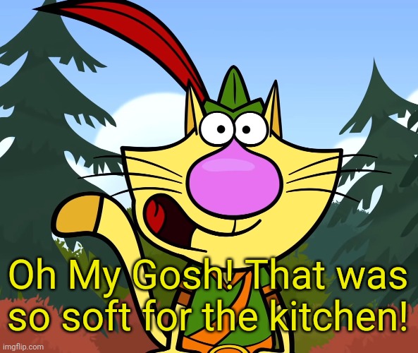 No Way!! (Nature Cat) | Oh My Gosh! That was so soft for the kitchen! | image tagged in no way nature cat | made w/ Imgflip meme maker