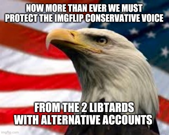 Murica Patriotic Eagle | NOW MORE THAN EVER WE MUST PROTECT THE IMGFLIP CONSERVATIVE VOICE; FROM THE 2 LIBTARDS WITH ALTERNATIVE ACCOUNTS | image tagged in murica patriotic eagle | made w/ Imgflip meme maker