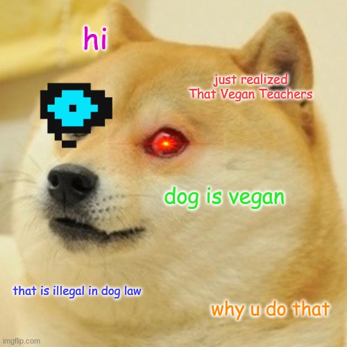 Super Doge | hi; just realized That Vegan Teachers; dog is vegan; that is illegal in dog law; why u do that | image tagged in memes,doge | made w/ Imgflip meme maker