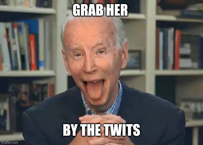 Biden | GRAB HER; BY THE TWITS | image tagged in creepy joe biden | made w/ Imgflip meme maker