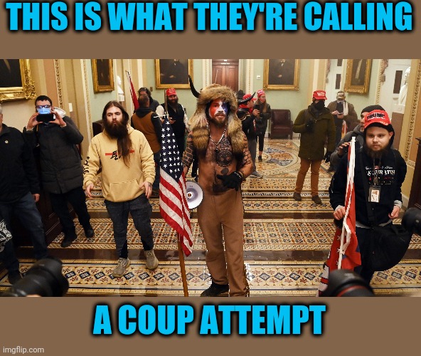 Looks like a lost tour group #NotARealCoup | THIS IS WHAT THEY'RE CALLING; A COUP ATTEMPT | image tagged in politics,notarealcoup | made w/ Imgflip meme maker
