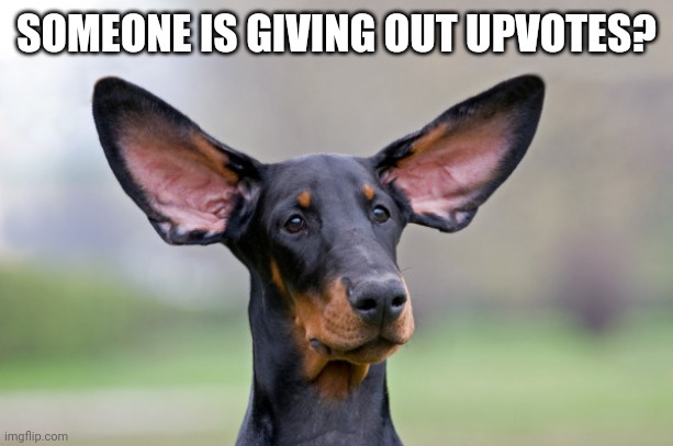 SOMEONE IS GIVING OUT UPVOTES? | image tagged in funny memes | made w/ Imgflip meme maker