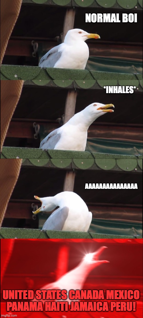 And now....the nations of the world brought you by... inhaling seagull! | NORMAL BOI; *INHALES*; AAAAAAAAAAAAAAA; UNITED STATES CANADA MEXICO PANAMA HAITI JAMAICA PERU! | image tagged in memes,inhaling seagull,song lyrics,world,yakko,animaniacs | made w/ Imgflip meme maker