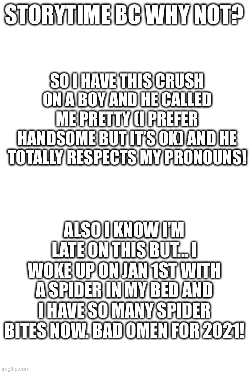 Storytime! | STORYTIME BC WHY NOT? SO I HAVE THIS CRUSH ON A BOY AND HE CALLED ME PRETTY (I PREFER HANDSOME BUT IT’S OK) AND HE TOTALLY RESPECTS MY PRONOUNS! ALSO I KNOW I’M LATE ON THIS BUT... I WOKE UP ON JAN 1ST WITH A SPIDER IN MY BED AND I HAVE SO MANY SPIDER BITES NOW. BAD OMEN FOR 2021! | image tagged in blank white template | made w/ Imgflip meme maker