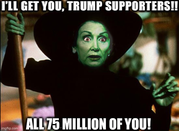 Nancy Pelosi | I’LL GET YOU, TRUMP SUPPORTERS!! ALL 75 MILLION OF YOU! | image tagged in nancy pelosi,wicked witch of the west,democrat,democrats,memes | made w/ Imgflip meme maker