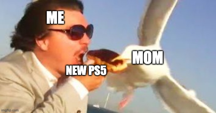 swiping seagull | ME; MOM; NEW PS5 | image tagged in swiping seagull | made w/ Imgflip meme maker