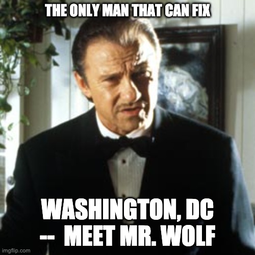Who can fix Congress? | THE ONLY MAN THAT CAN FIX; WASHINGTON, DC --  MEET MR. WOLF | image tagged in wolf pulp fiction | made w/ Imgflip meme maker