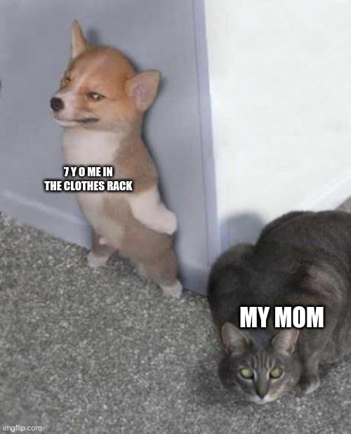 tryin to post more, using comments i made | 7 Y O ME IN THE CLOTHES RACK; MY MOM | image tagged in hide and seek | made w/ Imgflip meme maker