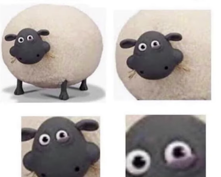 High Quality Sheep With Half Closed Eye Blank Meme Template
