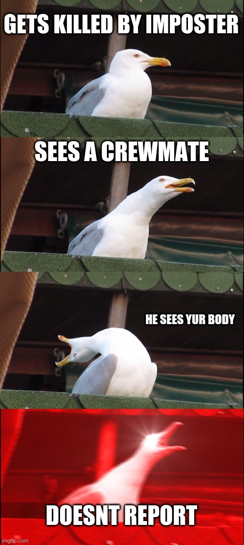 hppens everytime | GETS KILLED BY IMPOSTER; SEES A CREWMATE; HE SEES YUR BODY; DOESNT REPORT | image tagged in memes,inhaling seagull | made w/ Imgflip meme maker