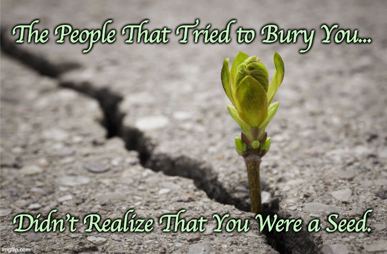 Hope Growth Bud Sprout Through Crack In Cement Pavement | The People That Tried to Bury You... Didn't Realize That You Were a Seed. | image tagged in hope growth bud sprout through crack in cement pavement,overcome,growth | made w/ Imgflip meme maker