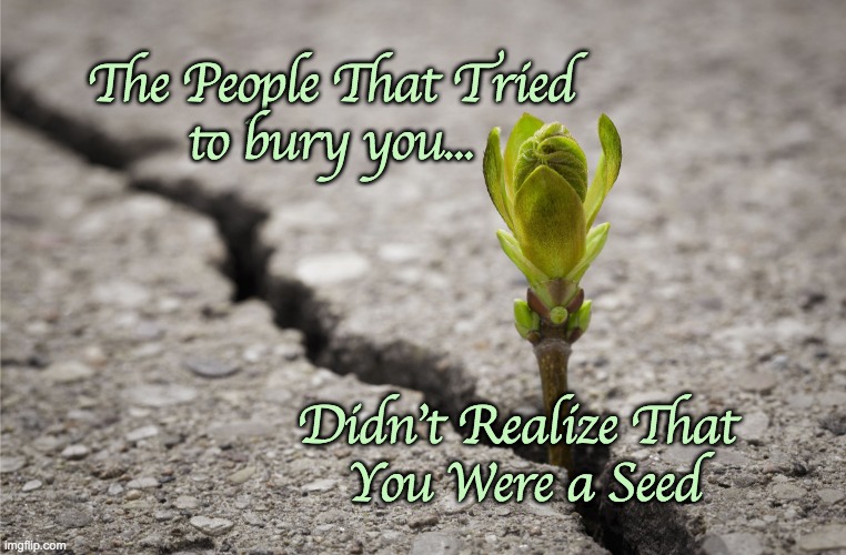 Hope Growth Bud Sprout Through Crack In Cement Pavement | The People That Tried
to bury you... Didn't Realize That 
You Were a Seed | image tagged in hope growth bud sprout through crack in cement pavement,growth,overcome | made w/ Imgflip meme maker