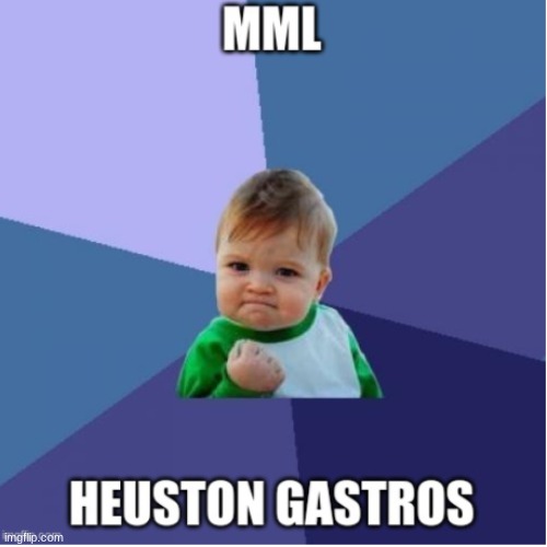 heuston | image tagged in bad luck brian | made w/ Imgflip meme maker