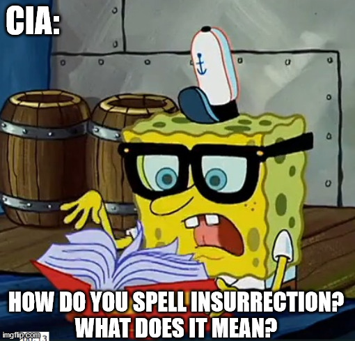 Spongebob Dictionary | CIA:; HOW DO YOU SPELL INSURRECTION?
WHAT DOES IT MEAN? | image tagged in spongebob dictionary | made w/ Imgflip meme maker