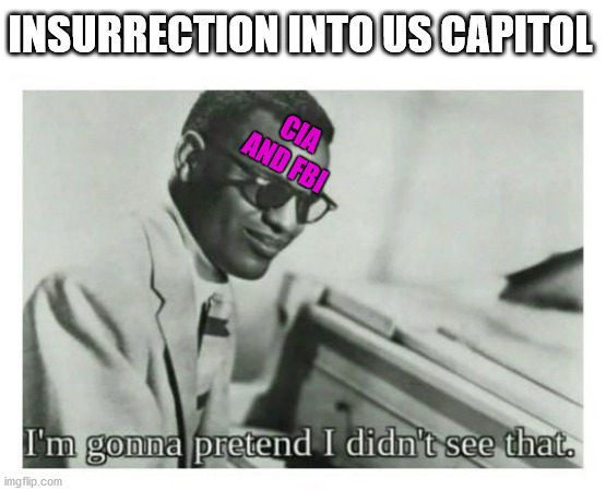 Where were they? | INSURRECTION INTO US CAPITOL; CIA AND FBI | image tagged in i'm gonna pretend i didn't see that | made w/ Imgflip meme maker