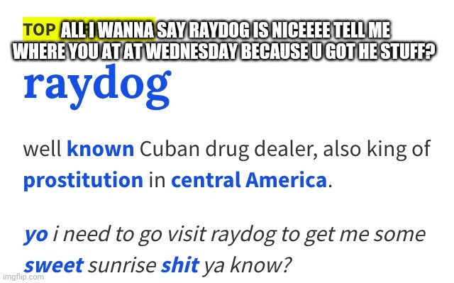 Raydog Really?? | ALL I WANNA SAY RAYDOG IS NICEEEE TELL ME WHERE YOU AT AT WEDNESDAY BECAUSE U GOT HE STUFF? | image tagged in raydog,raycat | made w/ Imgflip meme maker