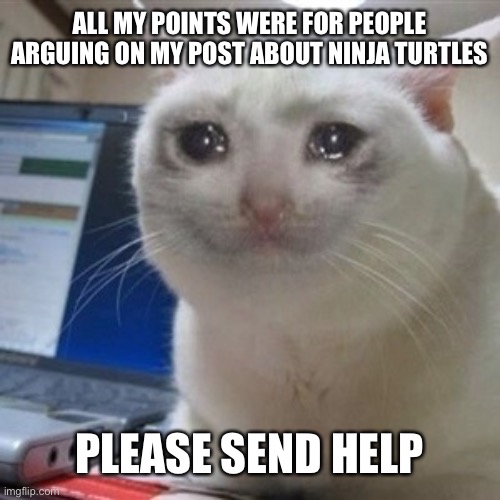 Plz send help | ALL MY POINTS WERE FOR PEOPLE ARGUING ON MY POST ABOUT NINJA TURTLES; PLEASE SEND HELP | image tagged in crying cat,crying | made w/ Imgflip meme maker