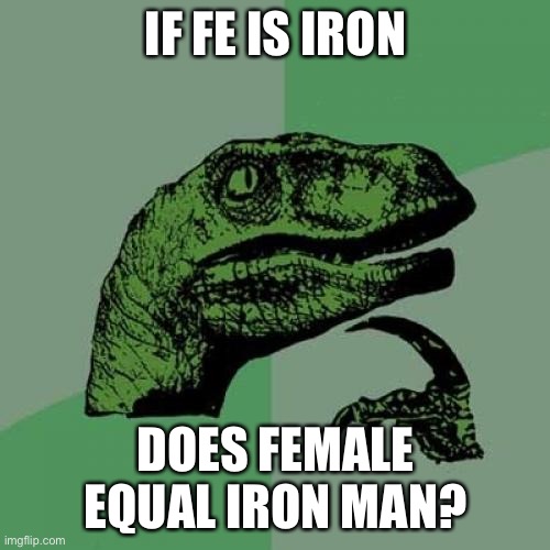 Philosoraptor Meme | IF FE IS IRON; DOES FEMALE EQUAL IRON MAN? | image tagged in memes,philosoraptor | made w/ Imgflip meme maker