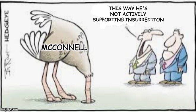 Compromise position | THIS WAY HE'S NOT ACTIVELY SUPPORTING INSURRECTION; MCCONNELL | image tagged in head in sand ostrich,senate,impeachment | made w/ Imgflip meme maker