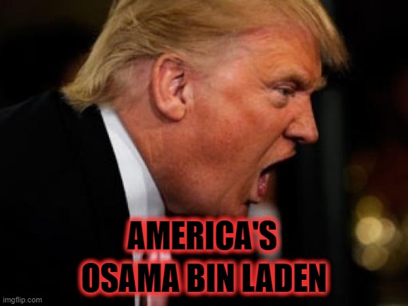 American Terrorism | AMERICA'S; OSAMA BIN LADEN | image tagged in terrorists,insurrection,trump,gop | made w/ Imgflip meme maker