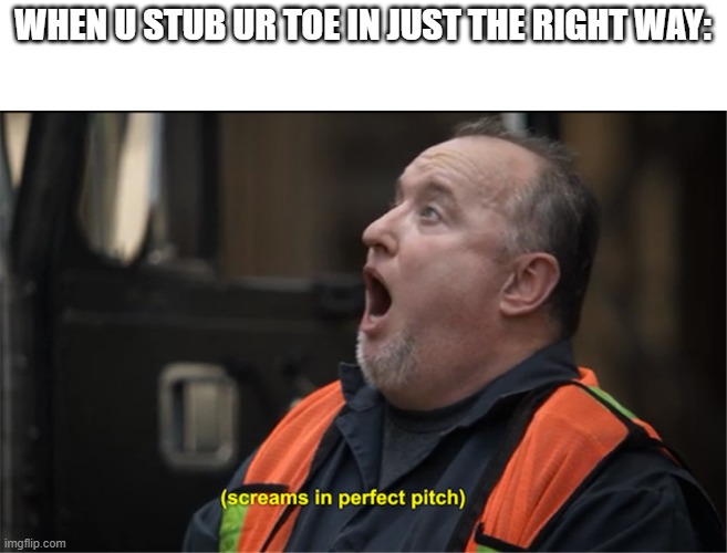 perfect pitch | WHEN U STUB UR TOE IN JUST THE RIGHT WAY: | image tagged in ow,screaming | made w/ Imgflip meme maker