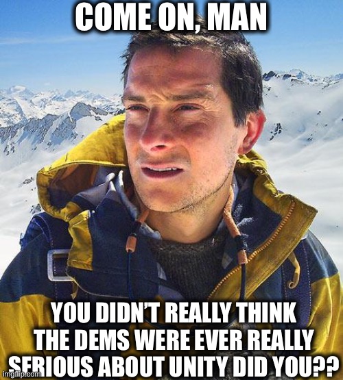 Bear Grylls Meme | COME ON, MAN YOU DIDN’T REALLY THINK THE DEMS WERE EVER REALLY SERIOUS ABOUT UNITY DID YOU?? | image tagged in memes,bear grylls | made w/ Imgflip meme maker