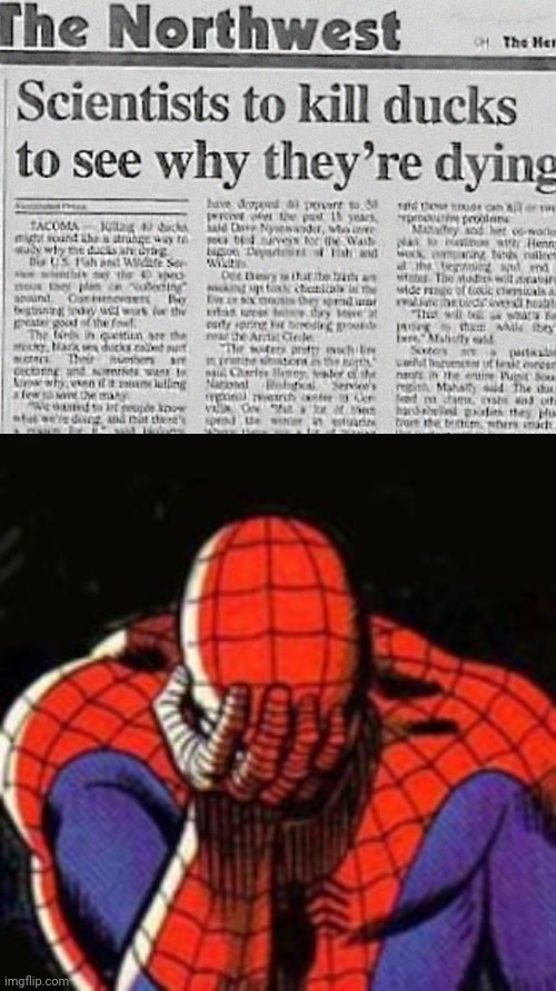 *is facepalming so hard* | image tagged in memes,sad spiderman | made w/ Imgflip meme maker