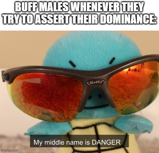 my middle name is danger | BUFF MALES WHENEVER THEY TRY TO ASSERT THEIR DOMINANCE: | image tagged in my middle name is danger | made w/ Imgflip meme maker