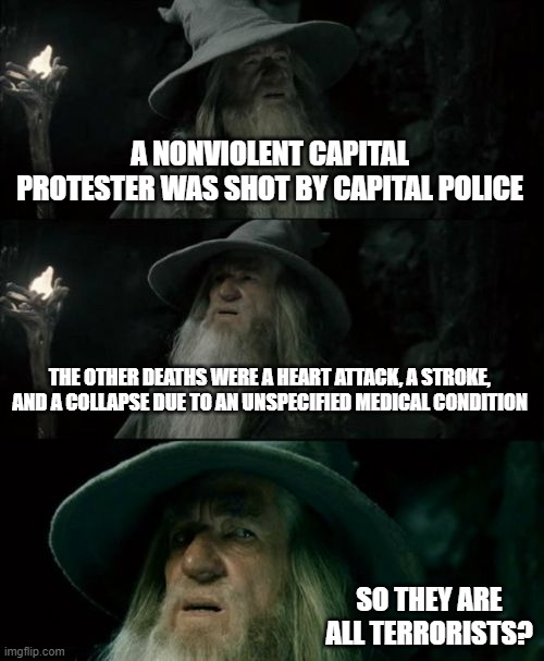What am I missing here??? | A NONVIOLENT CAPITAL PROTESTER WAS SHOT BY CAPITAL POLICE; THE OTHER DEATHS WERE A HEART ATTACK, A STROKE, AND A COLLAPSE DUE TO AN UNSPECIFIED MEDICAL CONDITION; SO THEY ARE ALL TERRORISTS? | image tagged in election 2020,conservatives,media lies,terrorism,liberal hypocrisy,politics | made w/ Imgflip meme maker