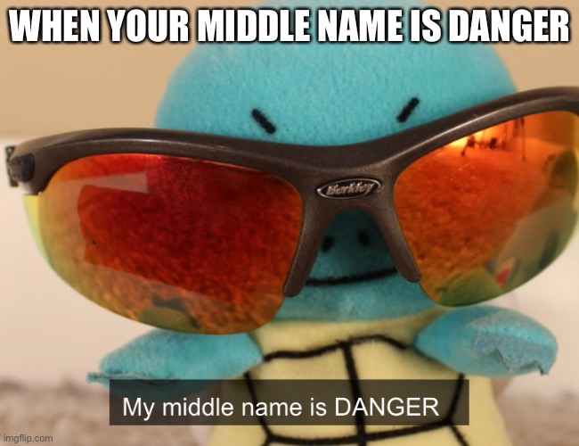 my middle name is danger | WHEN YOUR MIDDLE NAME IS DANGER | image tagged in my middle name is danger | made w/ Imgflip meme maker