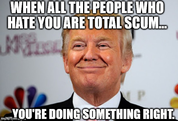 It's good to have the right enemies. | WHEN ALL THE PEOPLE WHO HATE YOU ARE TOTAL SCUM... ...YOU'RE DOING SOMETHING RIGHT. | image tagged in donald trump approves | made w/ Imgflip meme maker