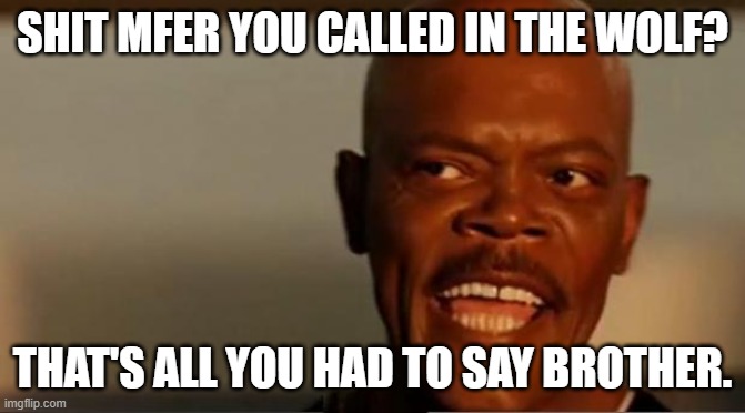 Snakes on the Plane Samuel L Jackson | SHIT MFER YOU CALLED IN THE WOLF? THAT'S ALL YOU HAD TO SAY BROTHER. | image tagged in snakes on the plane samuel l jackson | made w/ Imgflip meme maker