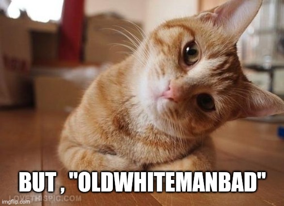 Curious Question Cat | BUT , "OLDWHITEMANBAD" | image tagged in curious question cat | made w/ Imgflip meme maker