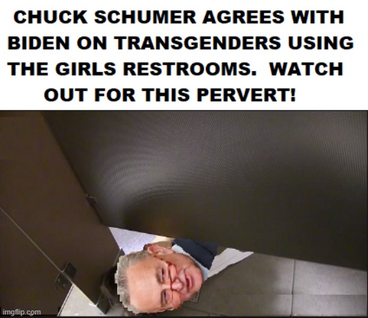 Chuck Schumer restroom creeper | image tagged in pedophile,old pervert,lunatic,creepy joe biden,chuck schumer | made w/ Imgflip meme maker